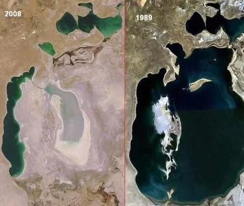 1587520572147881.jpg t01853eaab1454ccac6.webp.jpg